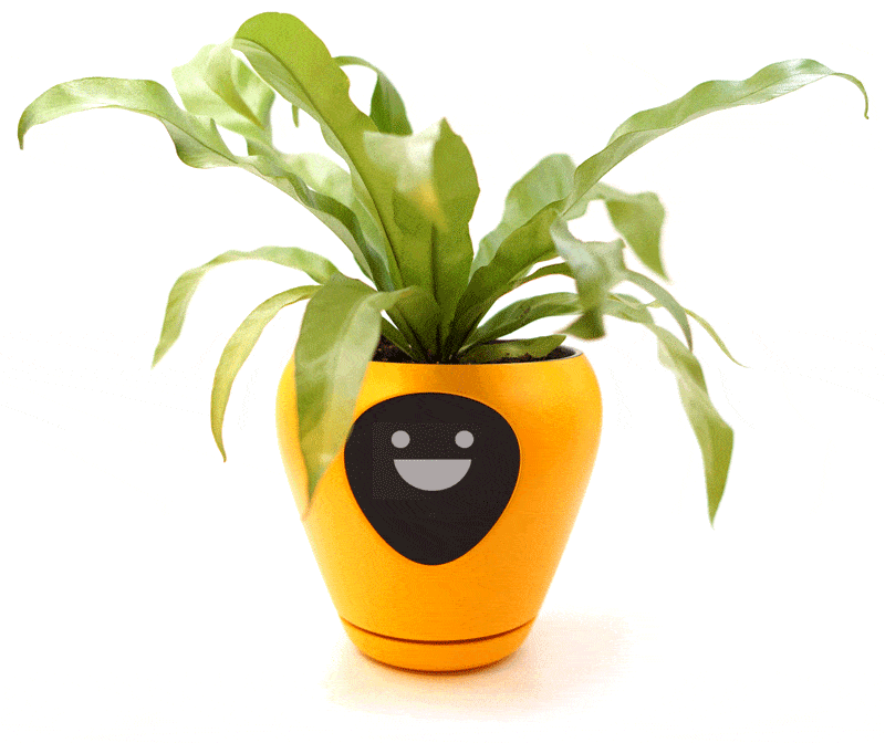 植物の感情を表示する鉢Lua