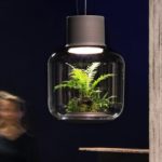 植物反射で自然の光にするライトMygdal Plantlight