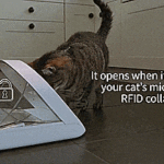 猫ちゃんの体重管理をする自動給餌器Surefeed Microchip Pet Feeder